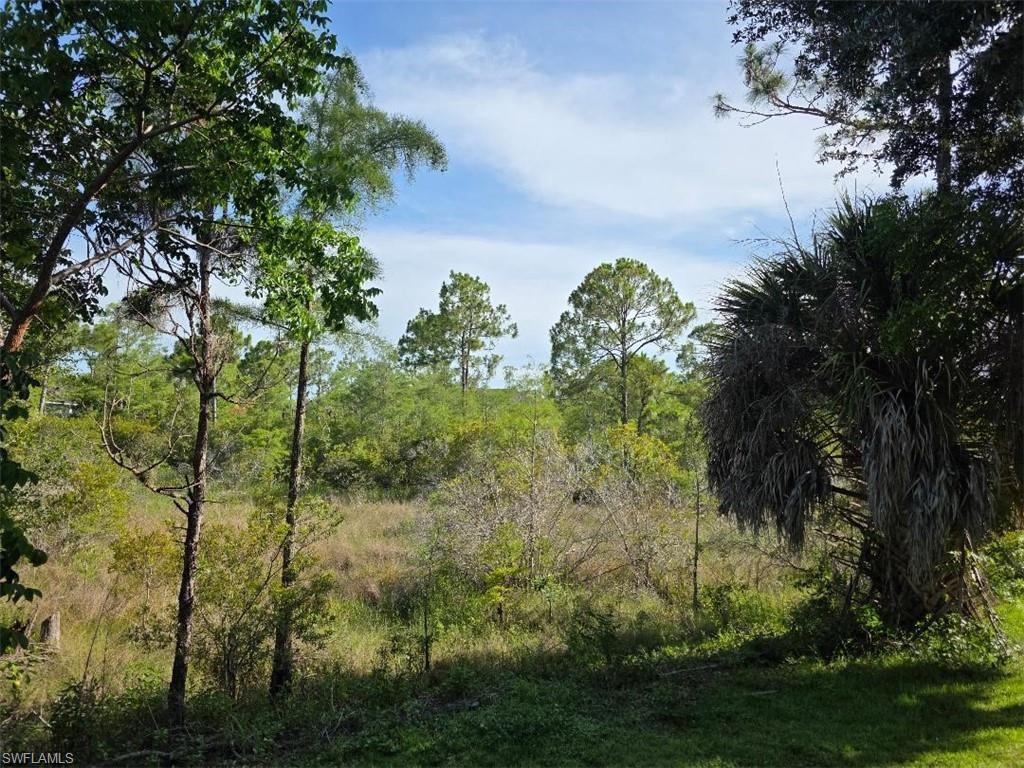 PRESERVE BEHIND REAR FENCE