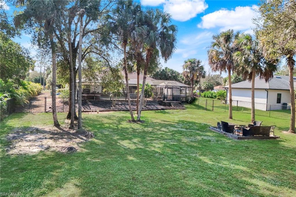 Expansive backyard featuring a lush lawn, mature palm trees, and a screen-enclosed patio