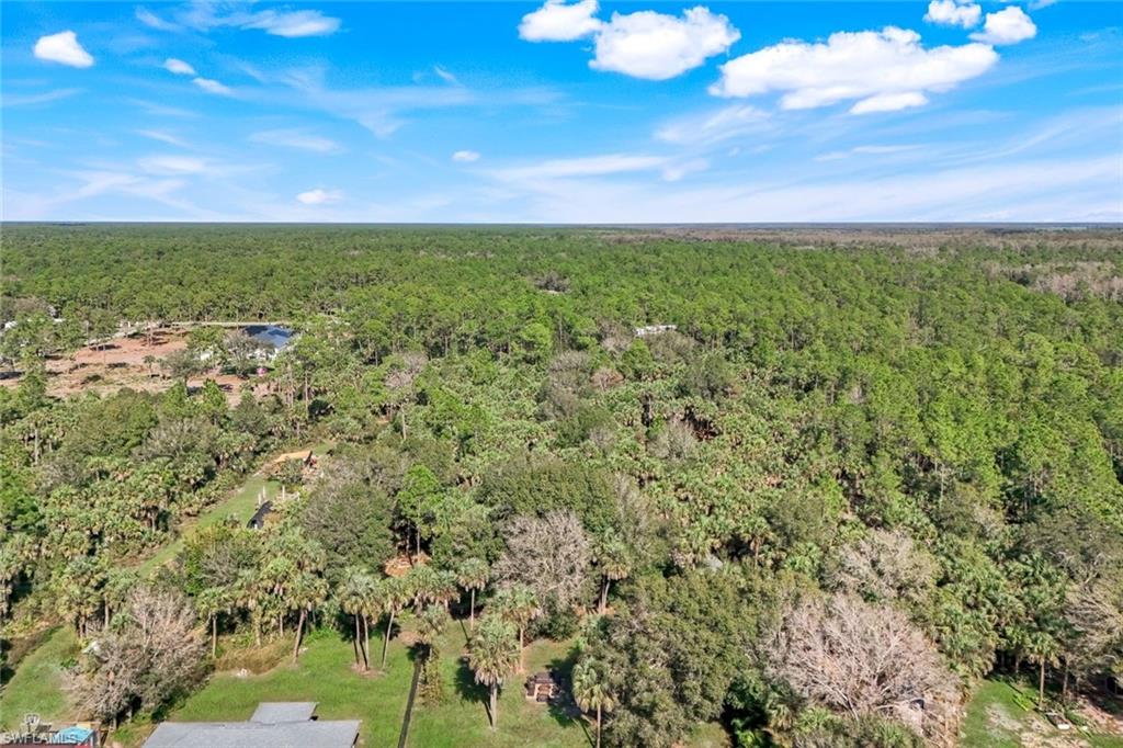 Expansive acreage featuring abundant mature trees, varied natural foliage, and a serene pond