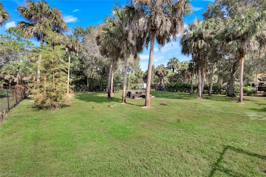 Expansive grass yard featuring numerous palm trees and varied foliage
