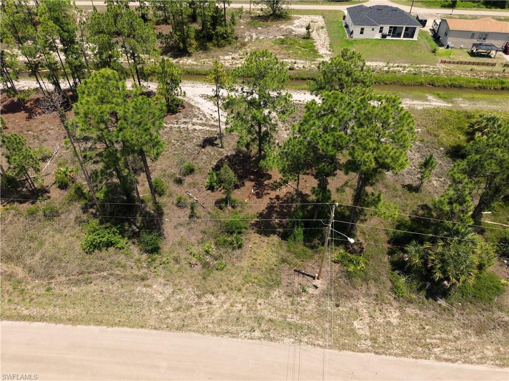 Expansive lot featuring mature pine trees and natural vegetation