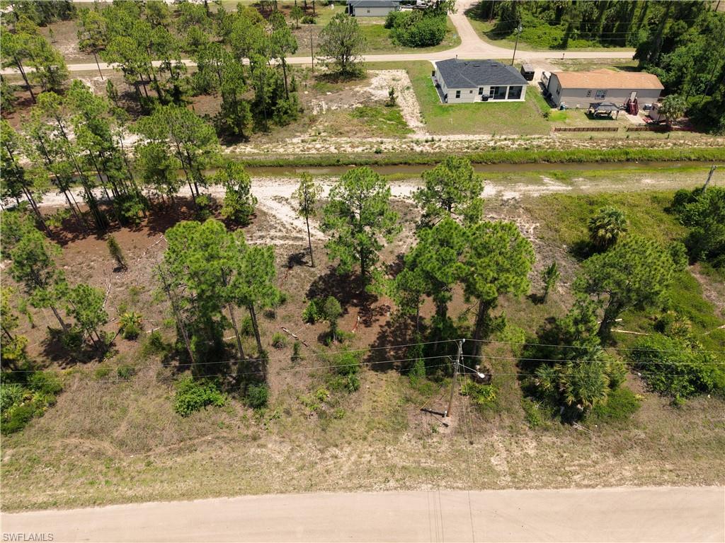 Expansive lot featuring mature pine trees