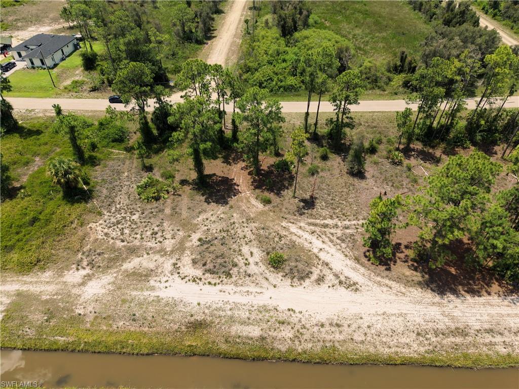 Expansive undeveloped lot featuring mature pine trees and natural vegetation