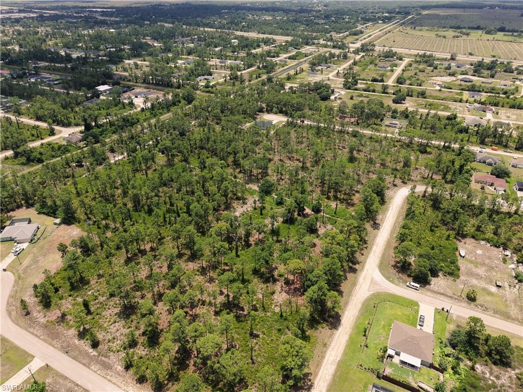 Expansive undeveloped land featuring a dense tree canopy and natural ground cover