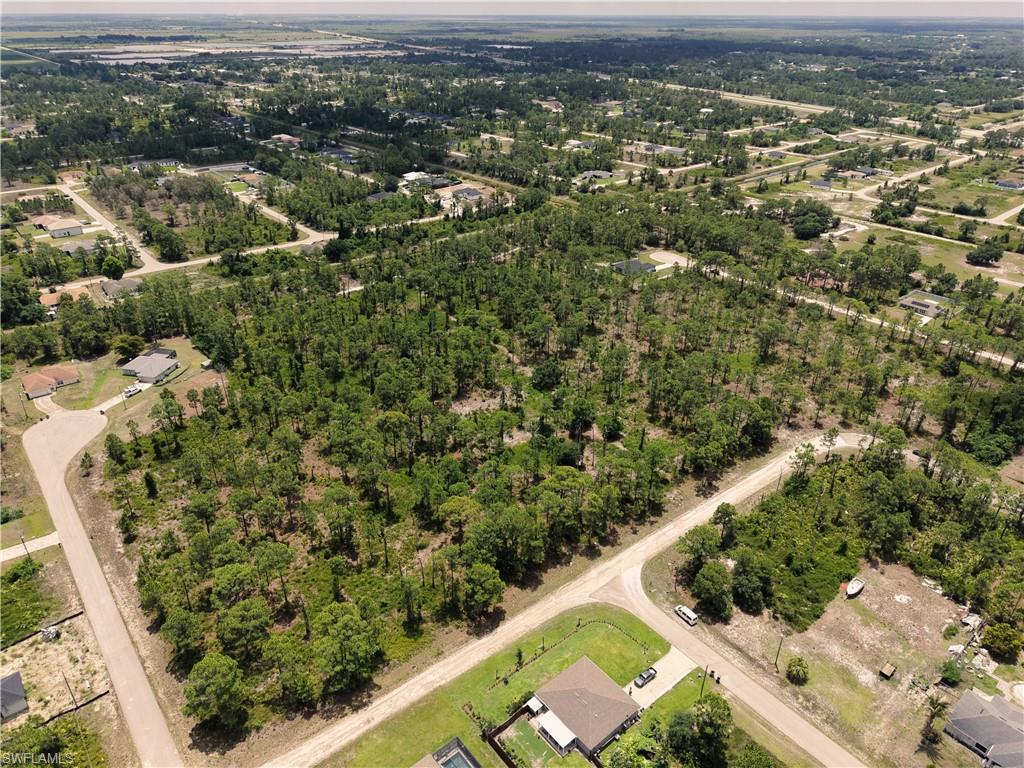 Expansive wooded lot featuring mature trees and a substantial land area