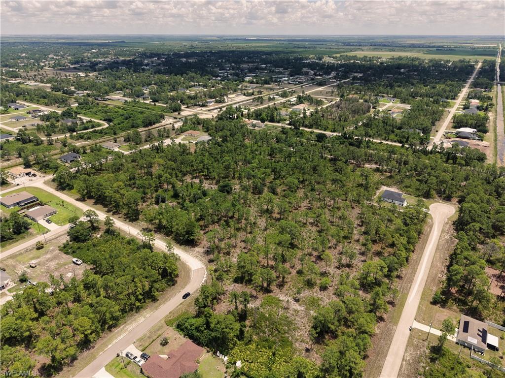Expansive wooded parcel featuring mature trees, a curvilinear road, and visible road access