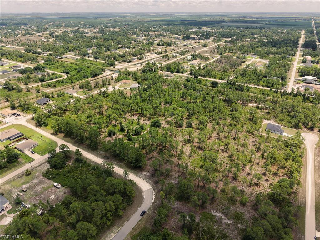 Expansive undeveloped parcel featuring mature trees and established roadways