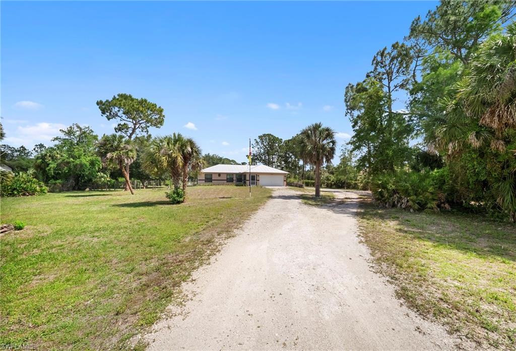 Expansive front yard featuring a gravel driveway, mature palm trees, and a ranch-style residence with a two-car garage