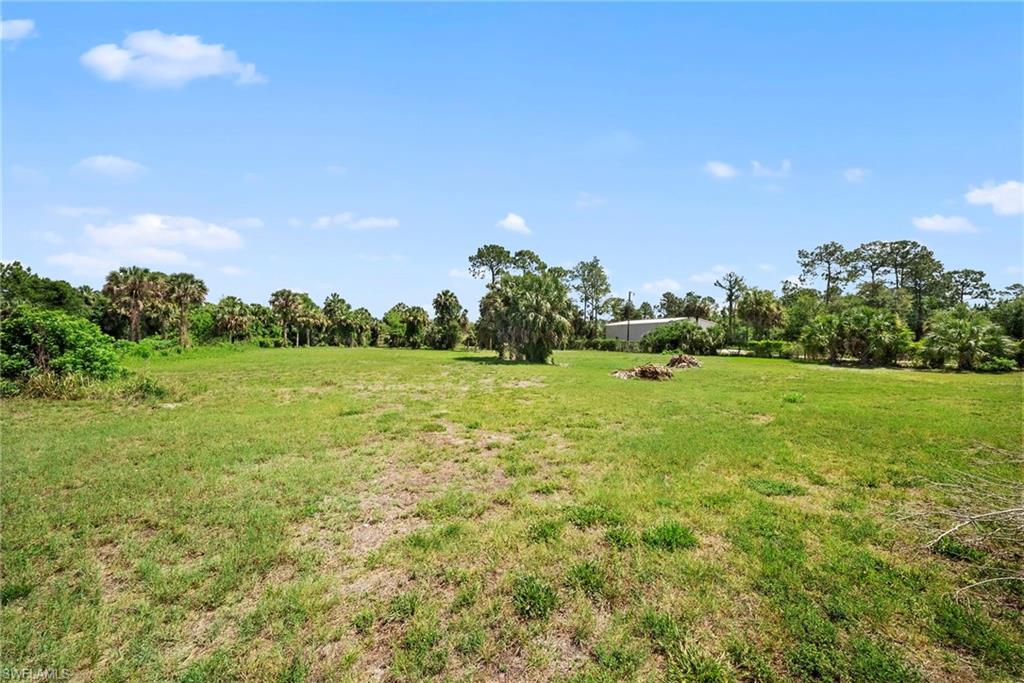 Expansive open lot featuring a primarily grassy ground cover and mature palm trees