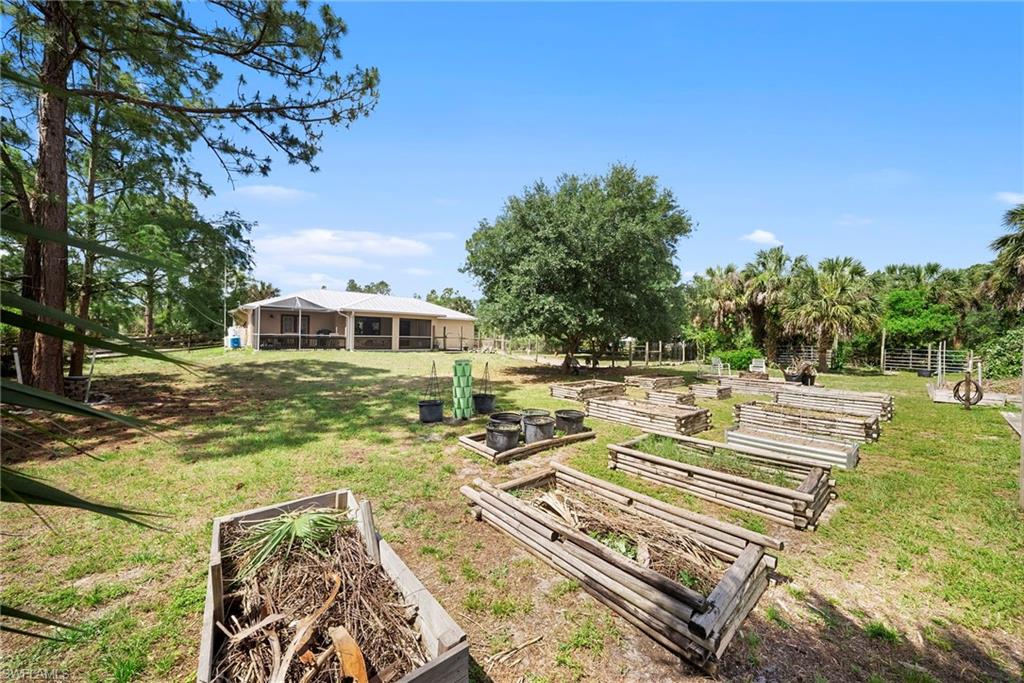 Expansive backyard featuring multiple raised garden beds and mature trees