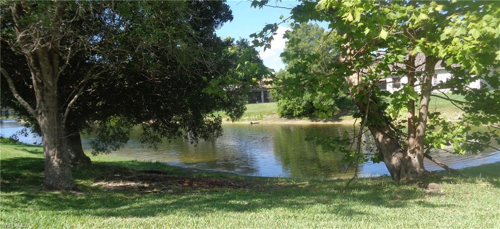 View of the trees and lake from the back yard