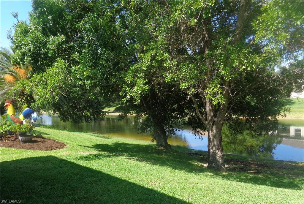 View of the trees and lake from the back yard