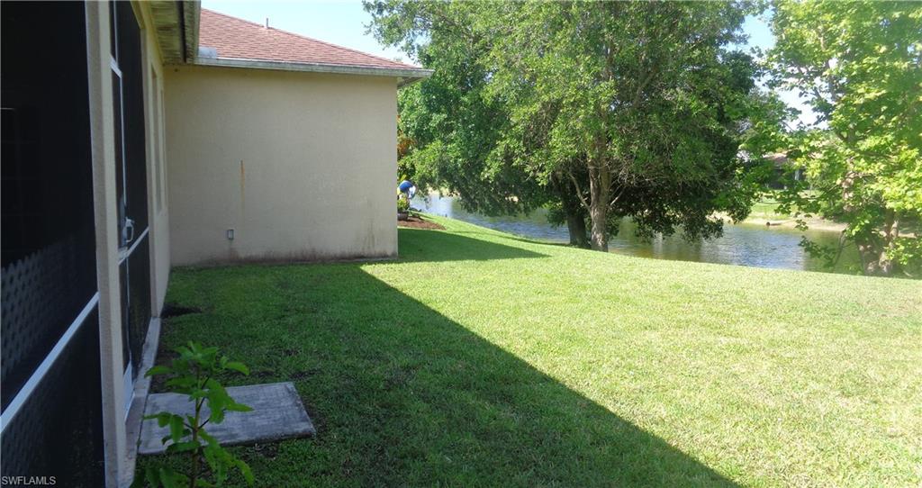 Wide view of the back yard