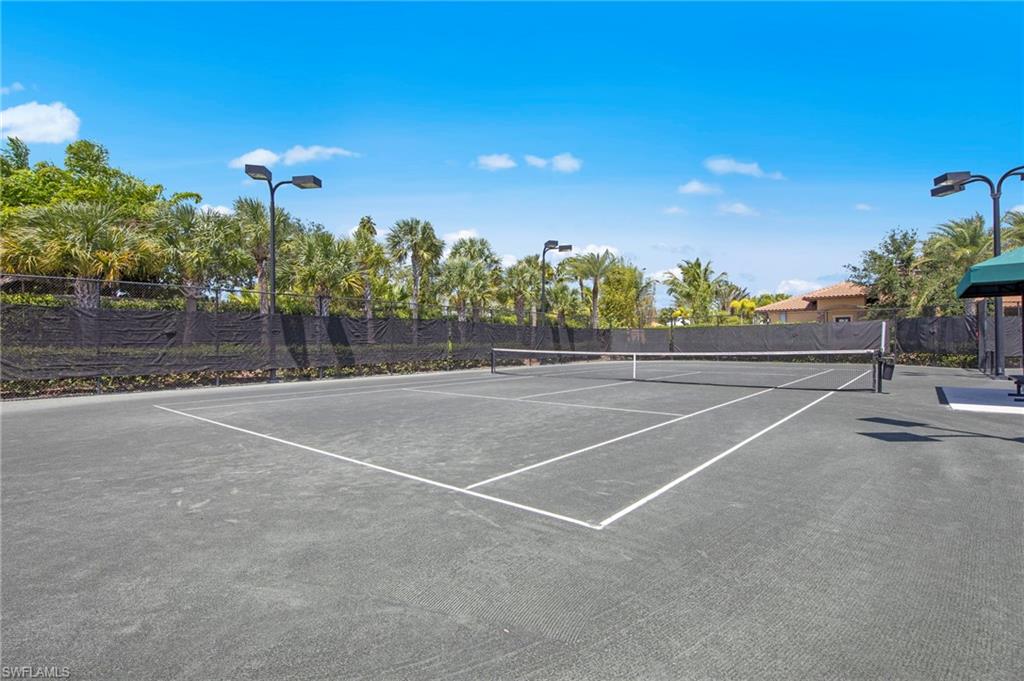 Hard court tennis facility featuring a black mesh fence, perimeter landscaping with mature palm trees, and integrated court lighting