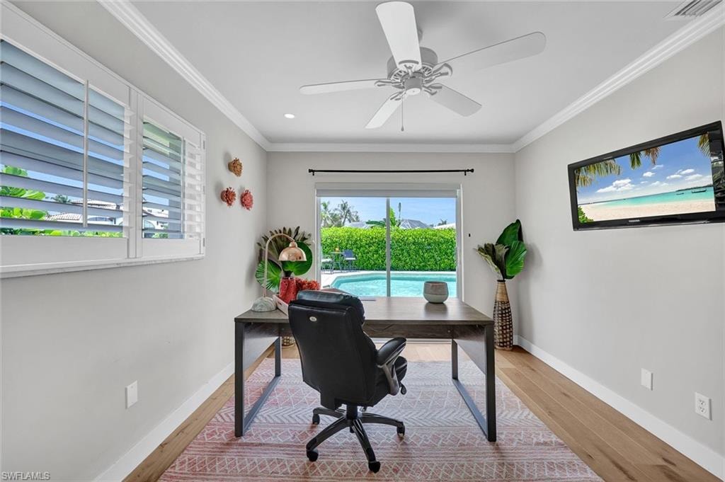 Study/Bedroom 4 option