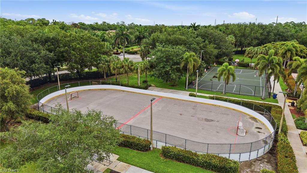 Hockey Rink
