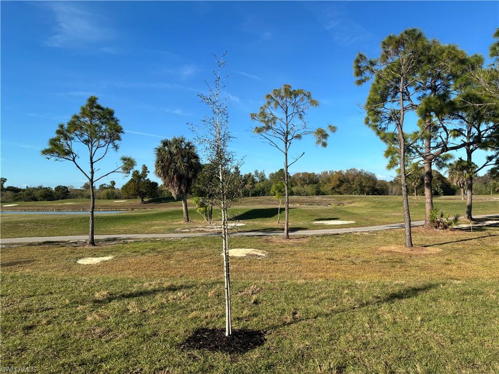 Expansive green space featuring a golf course, mature pine trees, a palm tree, and a paved path