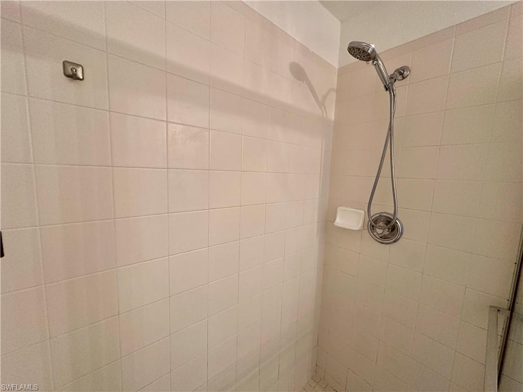 View of Primary Shower