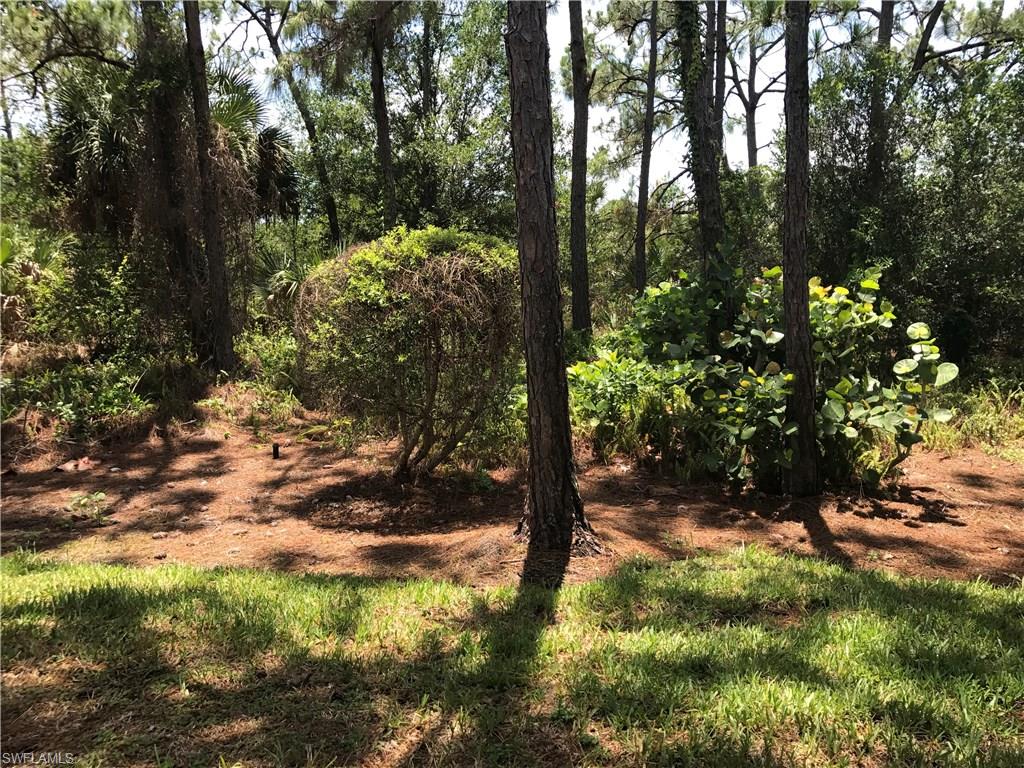 4161 Sawgrass Point DR 101 photo 23