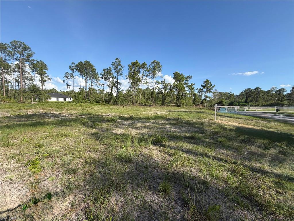1202 Johns AVE photo 6