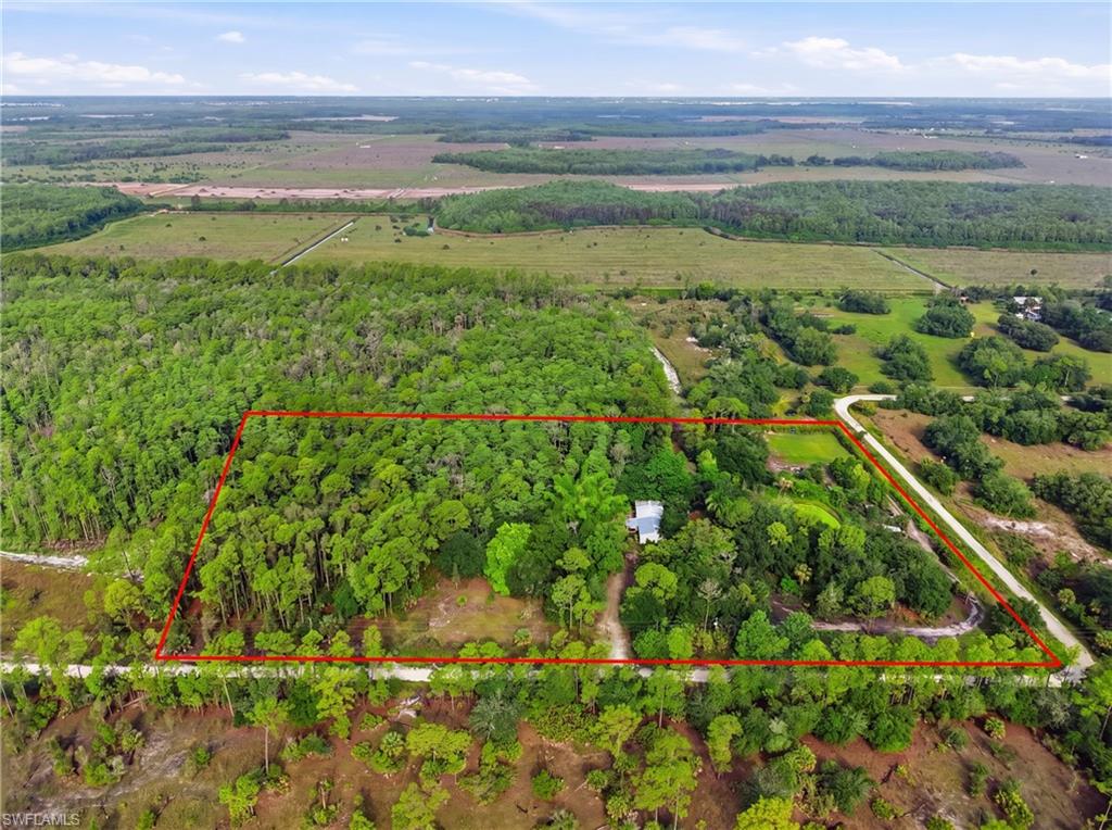 Expansive wooded acreage featuring a single structure