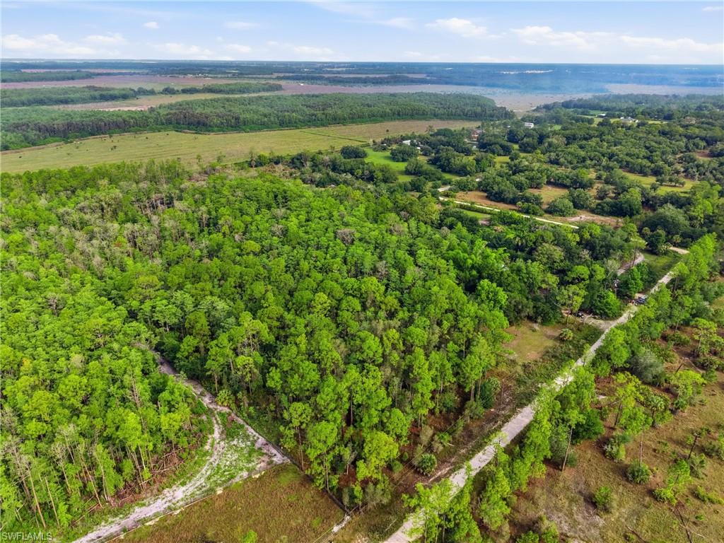 Expansive wooded lot featuring mature trees and a cleared access path