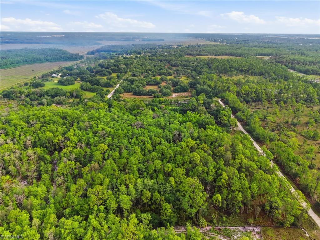 Expansive acreage featuring dense tree cover and visible roadways