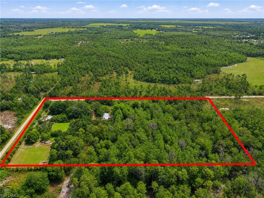 Expansive parcel featuring mature tree coverage and a partially cleared area