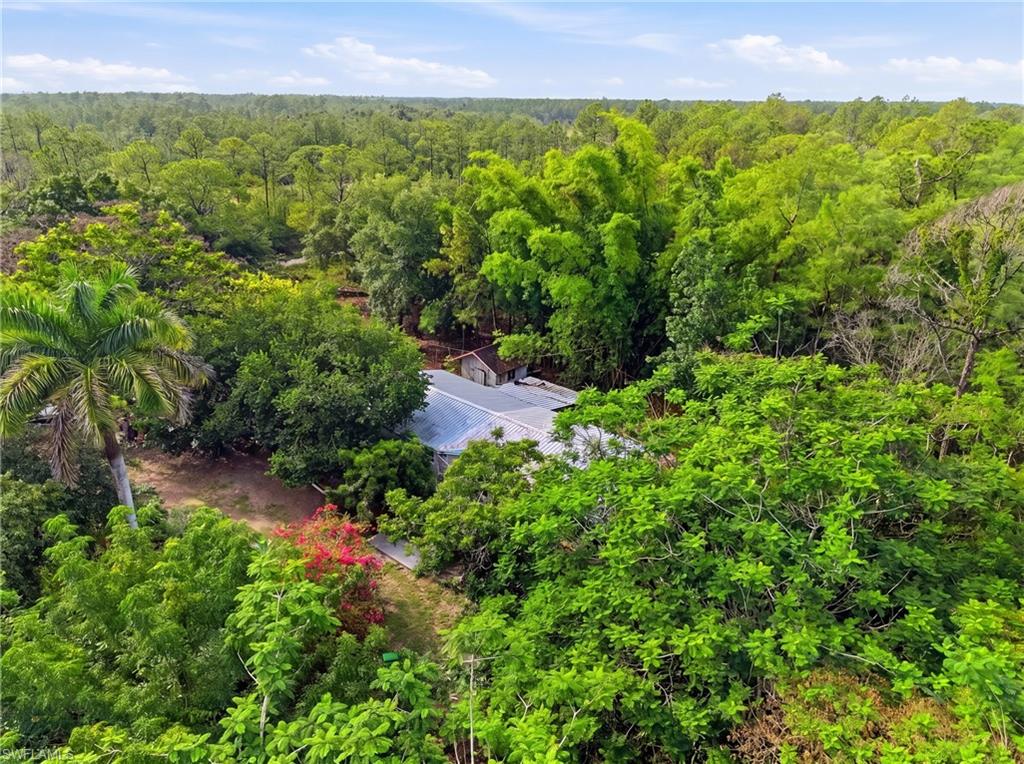 Aerial perspective showcasing a property surrounded by dense, verdant foliage, featuring a visible roofline