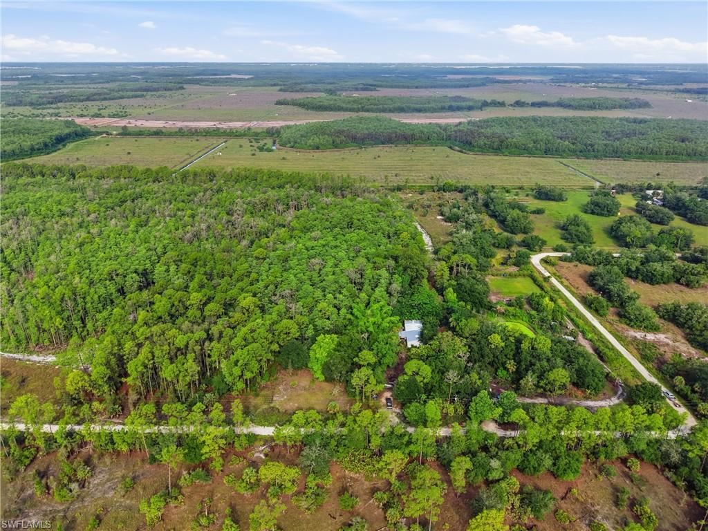 Expansive property featuring mature trees and lush natural landscaping