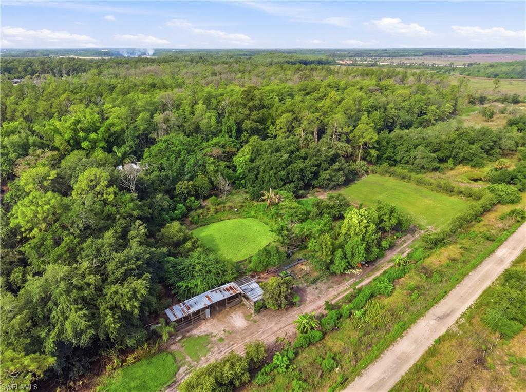 Expansive natural landscape featuring lush green foliage, open grassy areas, a secluded pond, a dirt access road, and an open-air structure with a corrugated roof