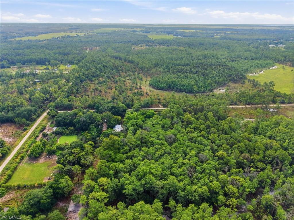Expansive natural landscape featuring dense tree coverage, open clearings, and a visible roadway