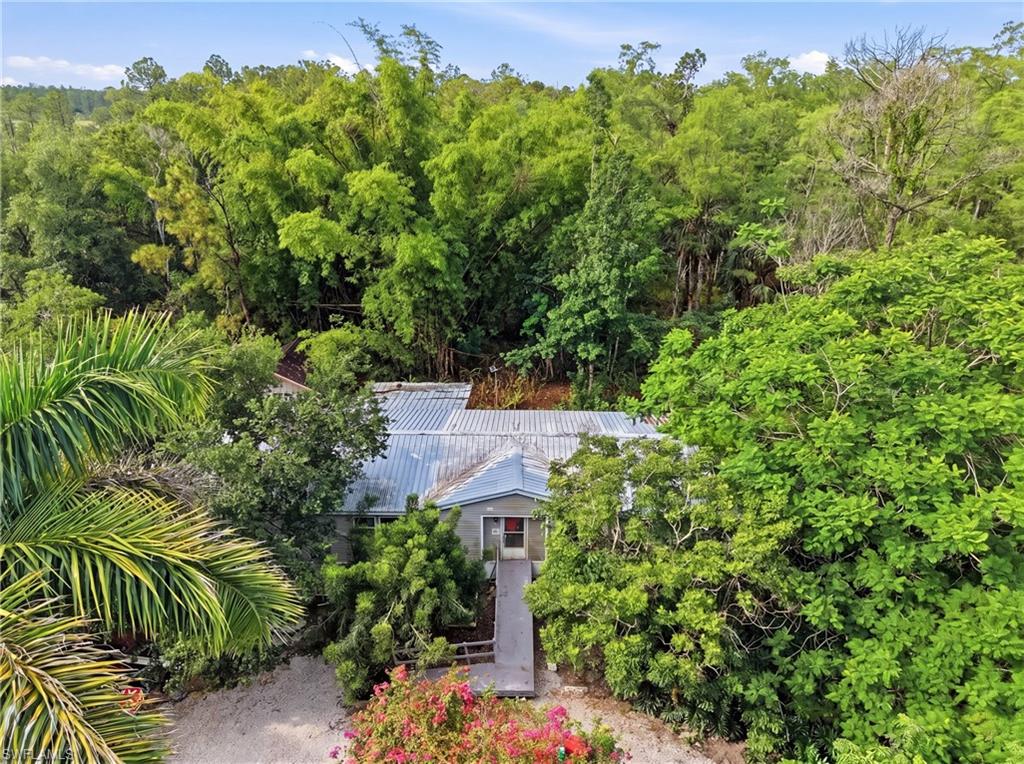 Residence featuring a metal roof, surrounded by mature trees and lush tropical landscaping