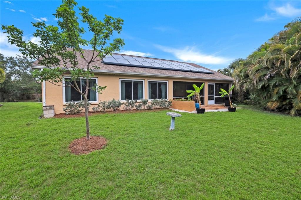 HUGE backyard features a patio and fruit trees.