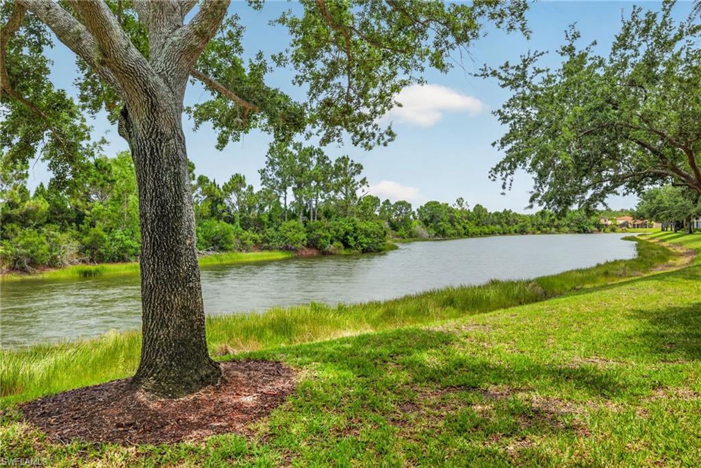 10109 Colonial Country Club BLVD 2410 photo 21