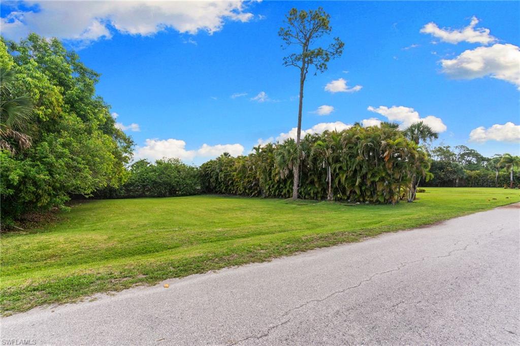 3080 Pine Tree DR photo 9
