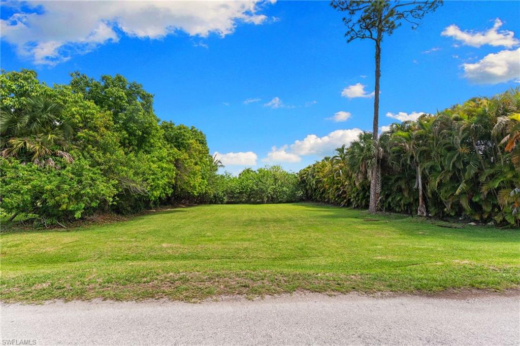 3080 Pine Tree DR photo 8