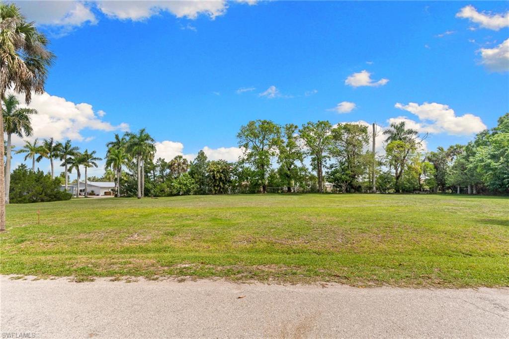 3116 Pine Tree DR photo 8