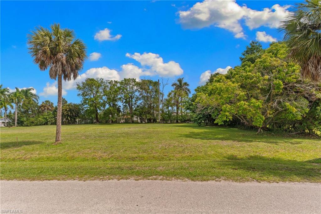 3090 Pine Tree DR photo 10