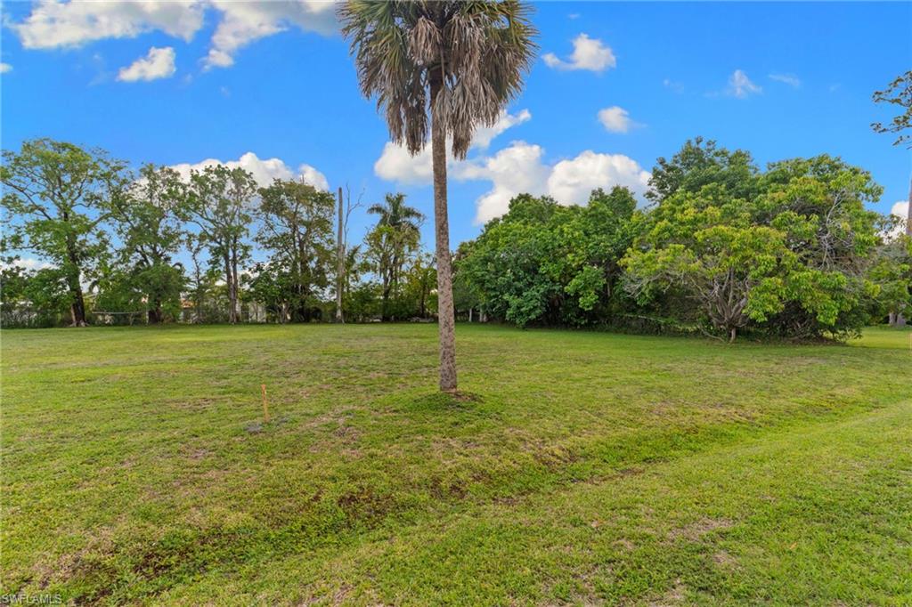 3090 Pine Tree DR photo 8