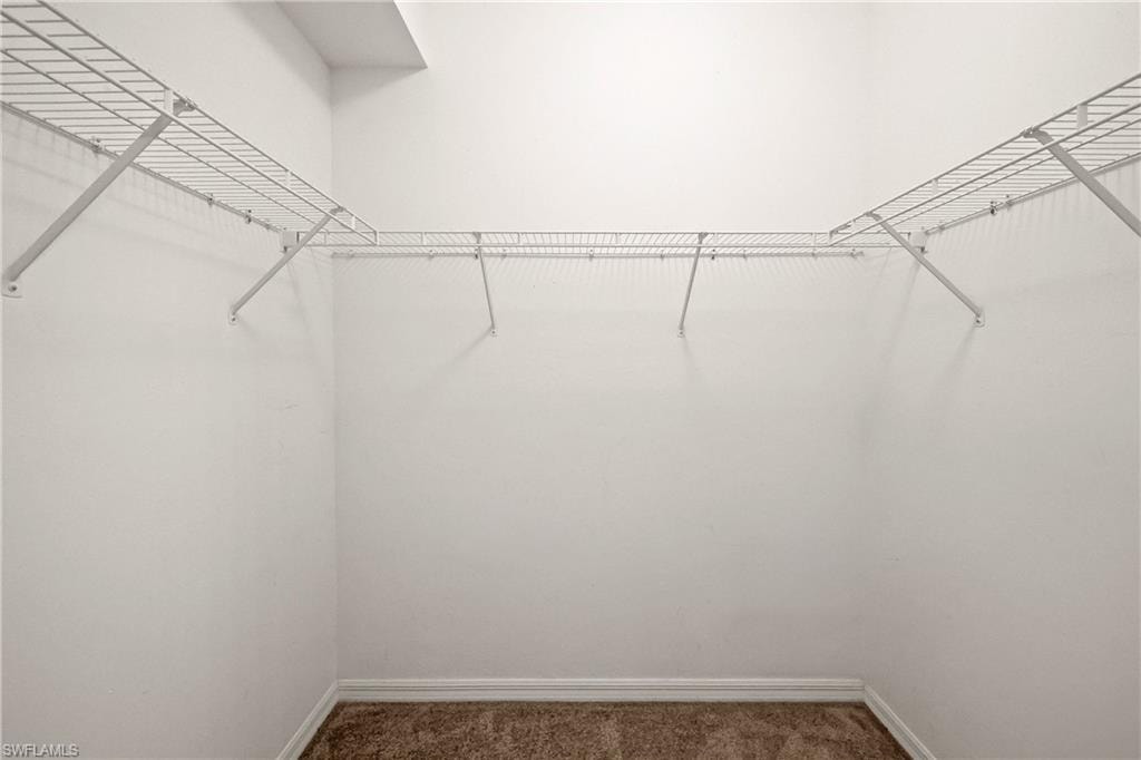 Primary Walk-in closet featuring carpet floors