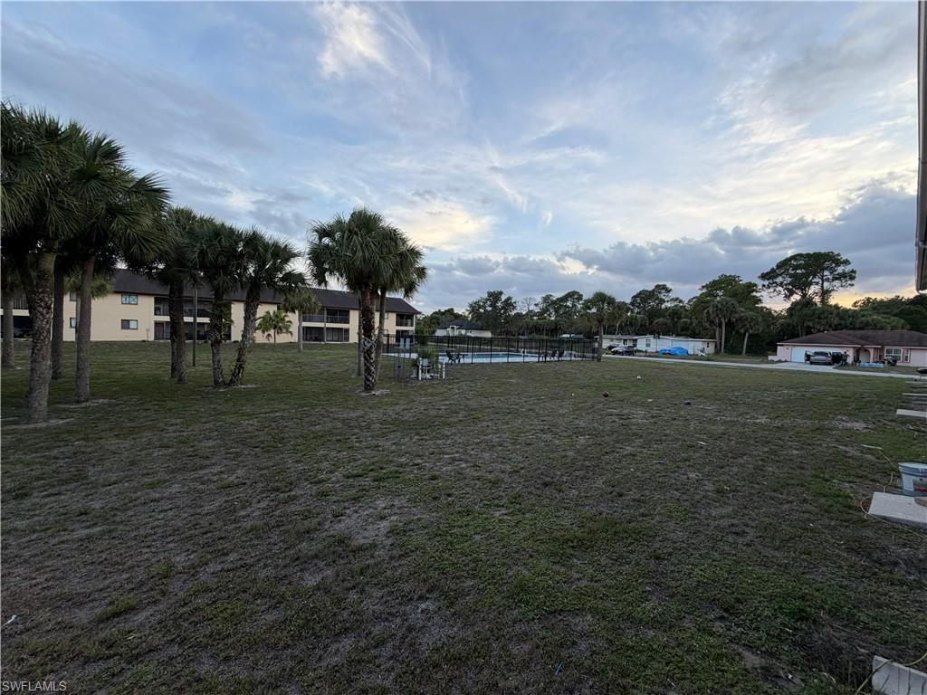 Expansive grassy area featuring multiple palm trees and distant residential structures