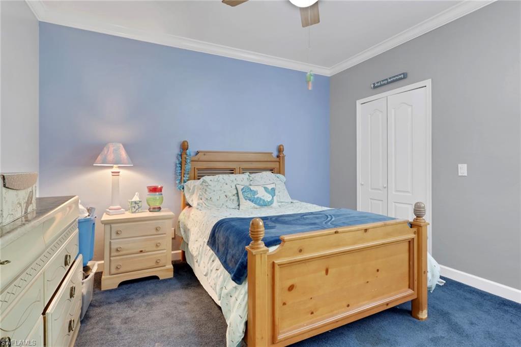 Carpeted room featuring a ceiling fan, crown molding, and bi-fold closet doors