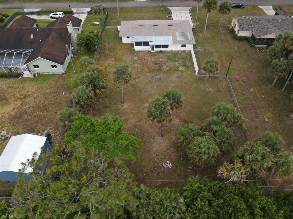 Expansive lot featuring mature palm trees and natural vegetation