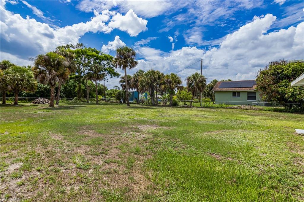 Expansive grassy area with mature palm trees and established landscaping