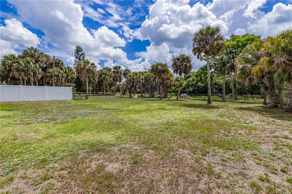 Expansive parcel featuring mature palm trees and natural landscaping