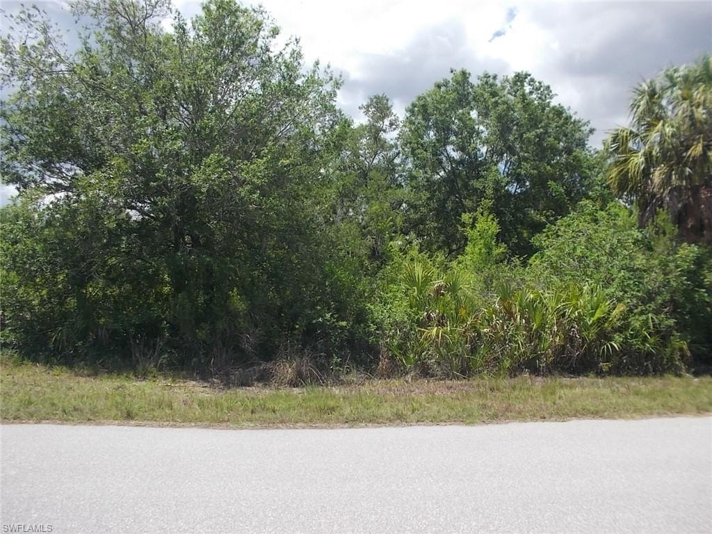 Looking at Lot from Dorn Ter