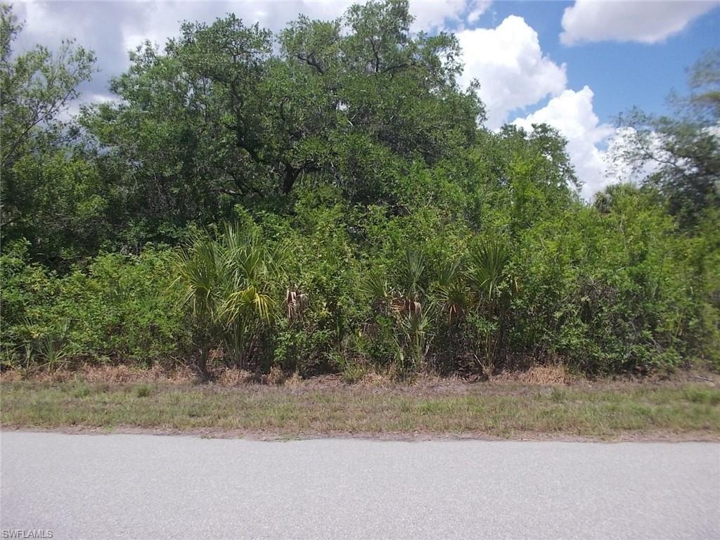 Looking at Lot from Travis St