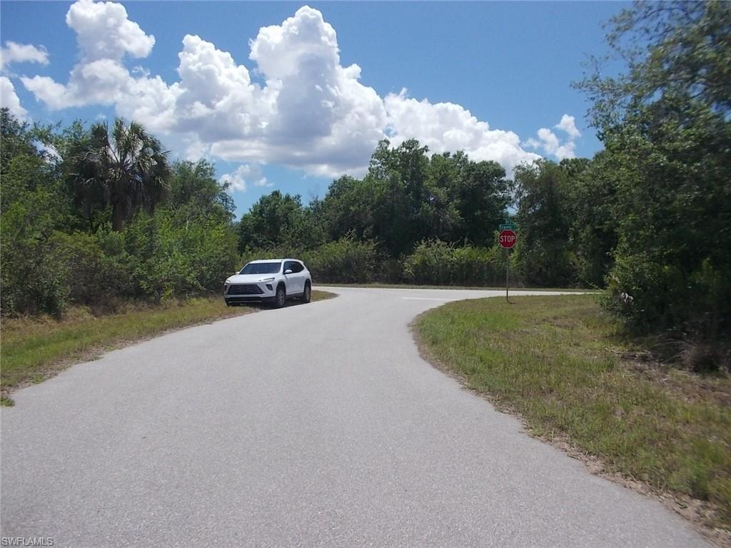 Looking Southwest down Dorn Ter