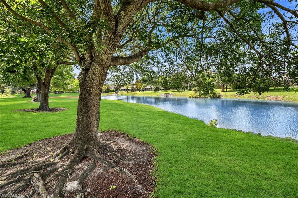 208 Furse Lakes CIR D6 photo 37